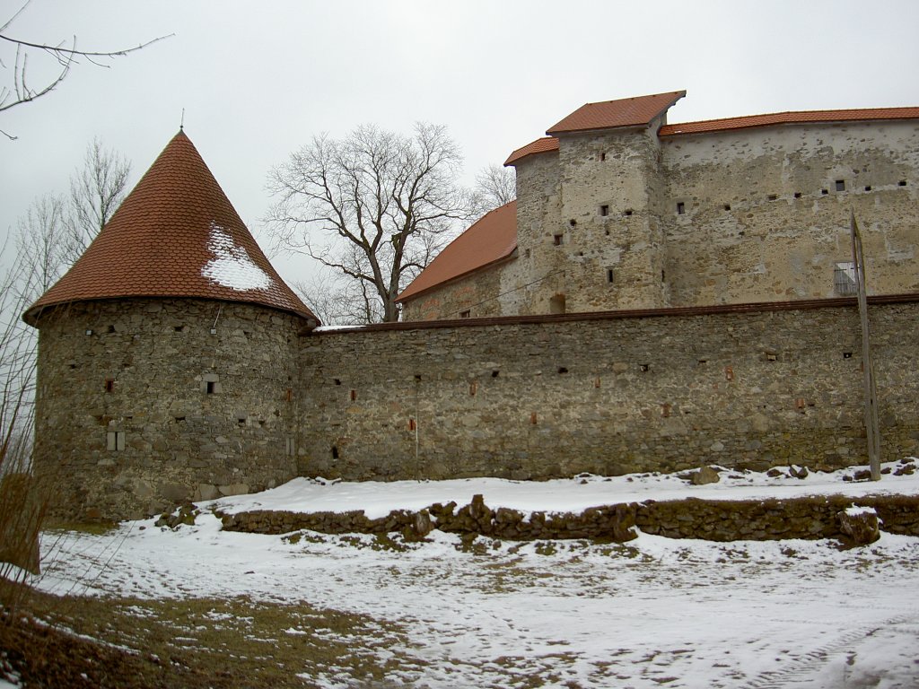 Burg Piberstein, Bewohnte Halbruine mit Ringmauer und Ecktrmen, Mhlviertel (06.04.2013)