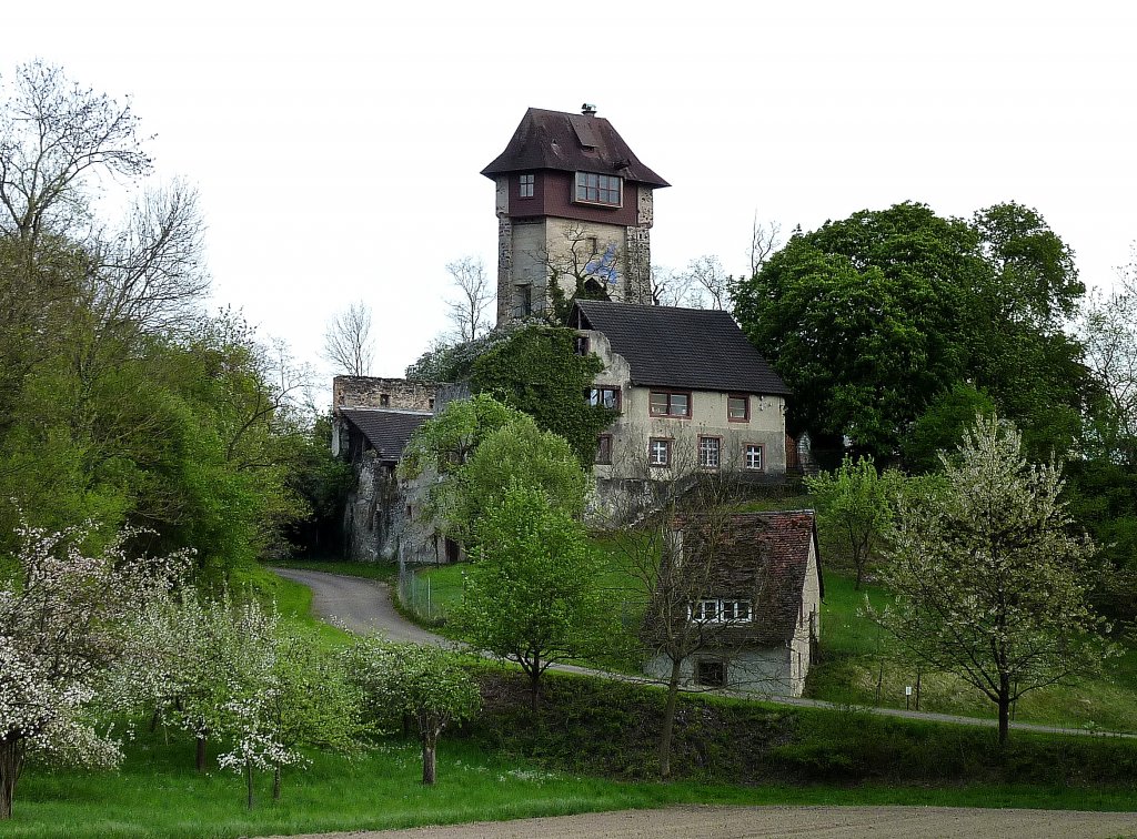 Burg Sponeck, die um 1280 erbaute Burg diente zum Schutz eines nahen  Rheinbergangs, heute im Privatbesitz, April 2012