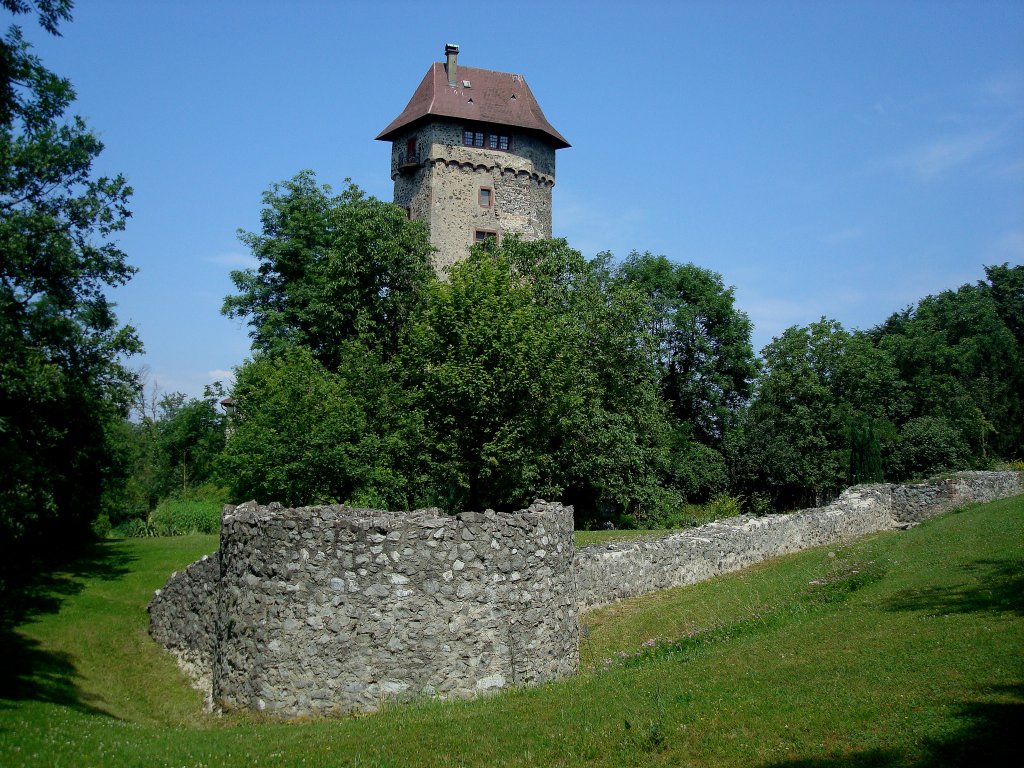 Burg Sponeck,
liegt am westlichsten Auslufer des Kaiserstuhles,
die Reichsburg wurde 1285 unter Kaiser Rudolf von Habsburg erbaut
und sicherte einen strategisch wichtigen Rheinbergang,
der Turm bekam 1930 seine jetzige Gestalt, im Privatbesitz,
davor Reste eines rmischen Kastells, 1976-84 freigelegt,
Juni 2010