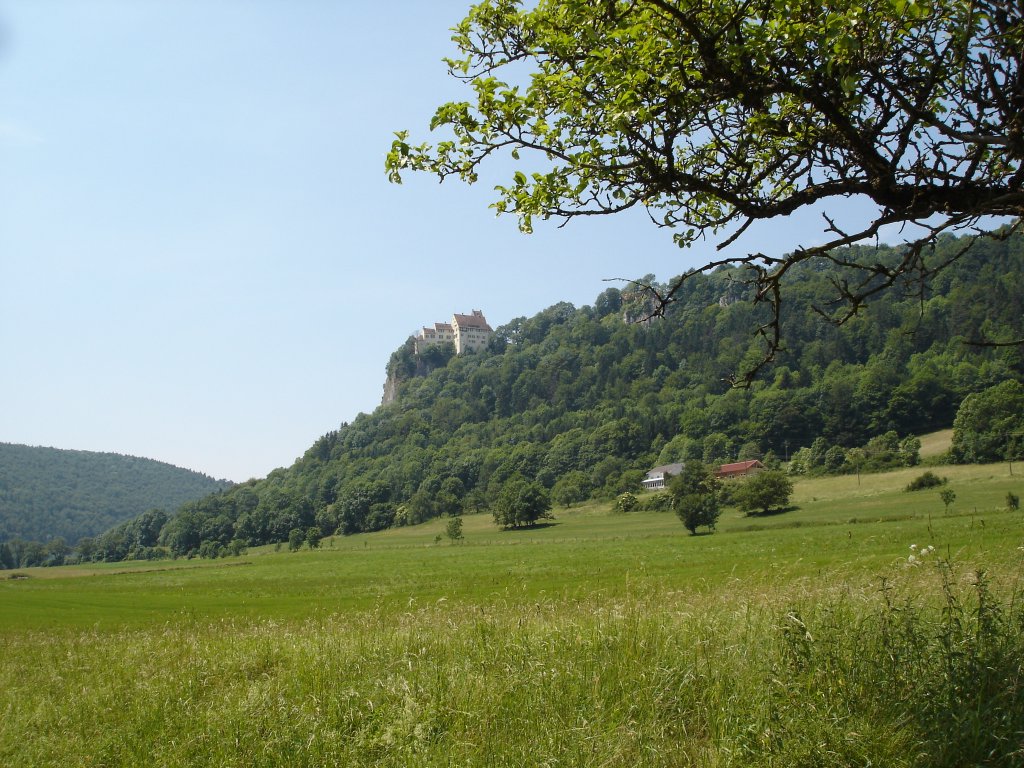 Burg Werenwag 780m hoch gelegen im oberen Donautal,
erbaut um 1100,im Privatbesitz,Besichtigung nicht mglich,
Juni 2005