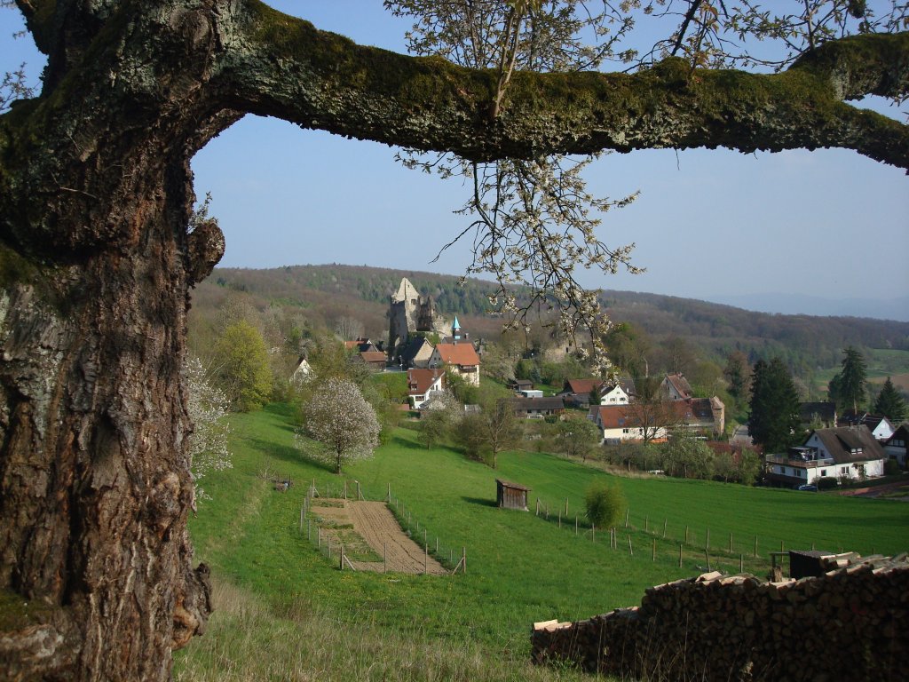 Burgruine Landeck im Landkreis Emmendingen,
erbaut um 1250 durch die Herren von Geroldseck,
seit 2006 gibt es einen Verein zur Erhaltung der Ruine,
April 2010