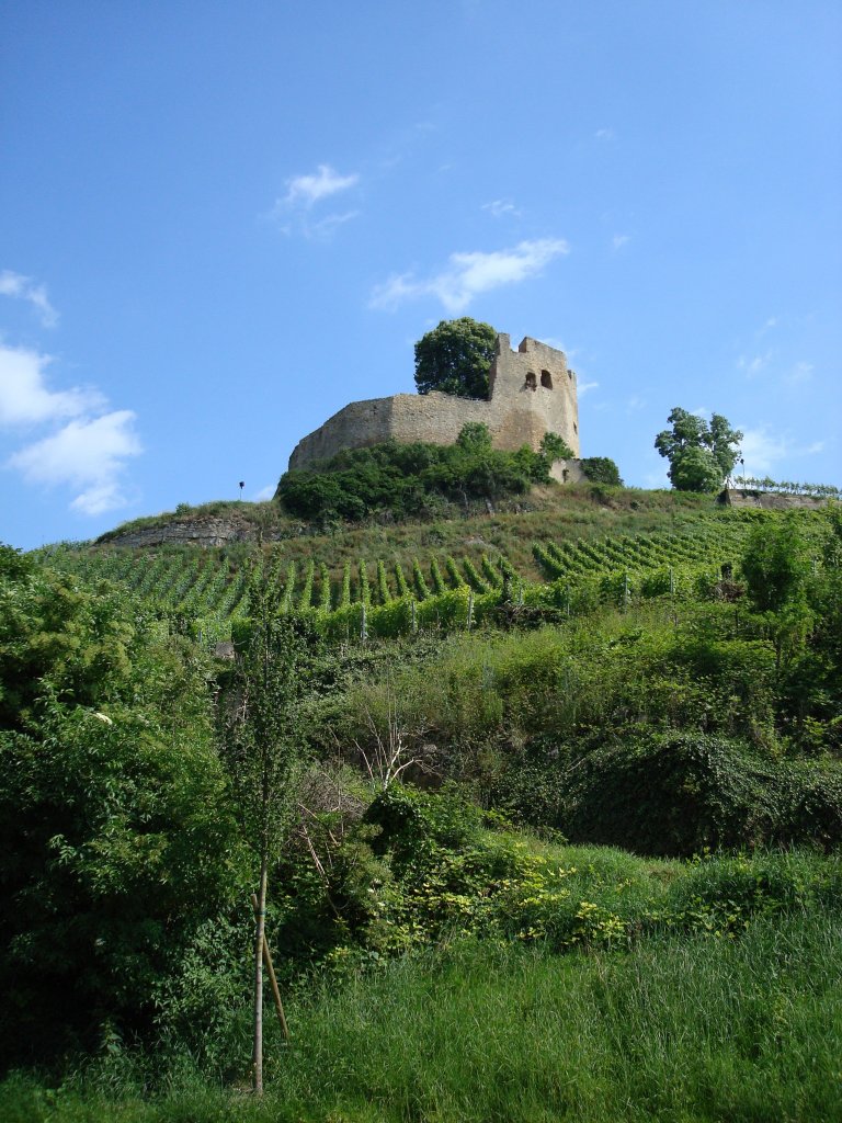 Burgruine Lichteneck,
bei Hecklingen im Landkreis Emmendingen, erbaut 1265-90 vom Grafen von Freiburg,heute Privatbesitz,
2009