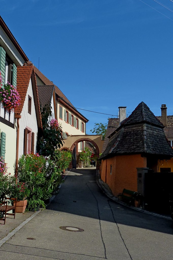 Burkheim am Kaiserstuhl, ein historisches Weingut, Sept.2012