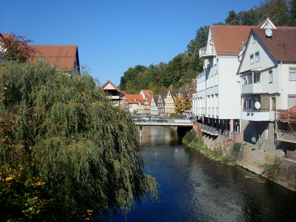 Calw im Schwarzwald, Blick von der Nikolausbrcke flussabwrts auf die Nagold, Okt.2010