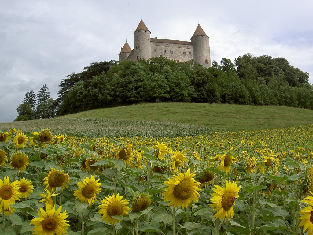 Chateau von Champvent, erbaut in der zweiten Hälfte des 13. Jahrhundert über der 
Orbeebene (28.07.2012)