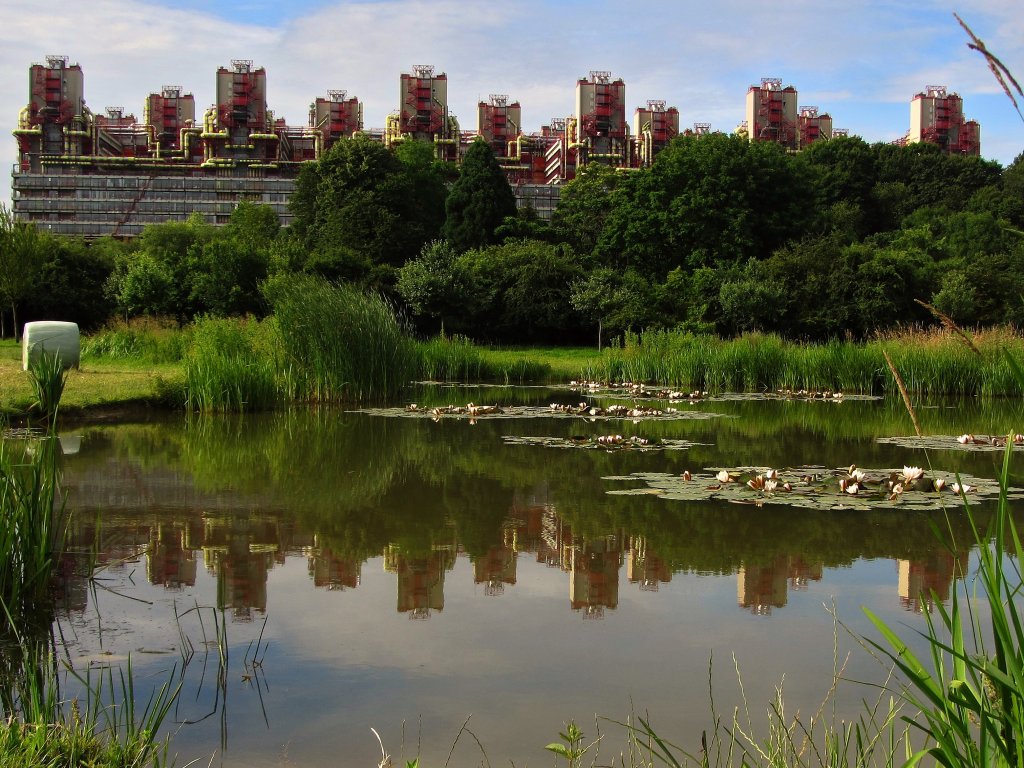 Das Aachener Klinikum spiegelt sich am 03.07.2012 in einem Teich, in dem zur Zeit die Seerosen blhen.