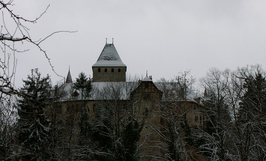 Das Chteau de Blonay war im 11. Jahrhundert gesellschaftlicher Mittelpunkt, im 13.Jahrhundert waren die Herren von Blonay Vasallen des Hauses Savoyen. 1750 musste das Schloss wegen finanzieller Schwierigkeiten verkauft werden, wurde aber 1806 von einem Nachkommen zurckgekauft.
(17.12.2010)