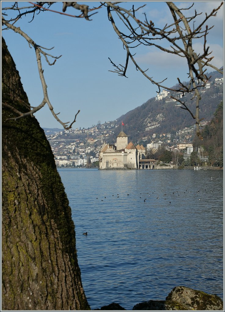 Das Chteau de Chillon am Lac Lman. 
3.1.11