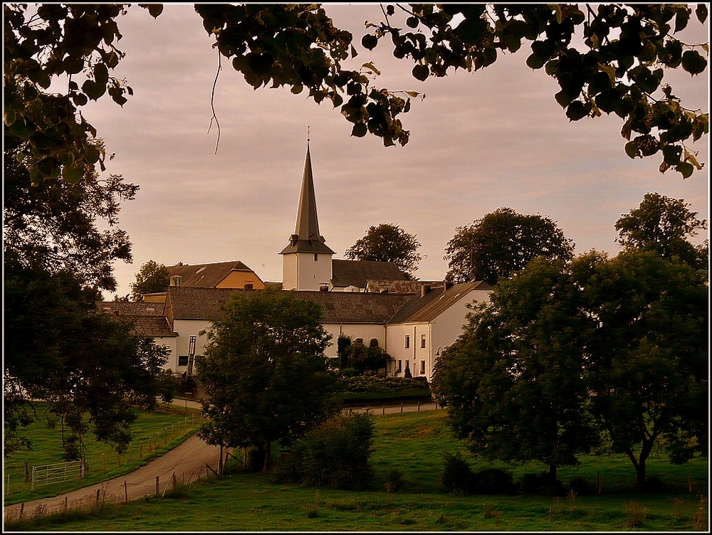 Das Dorf Allerborn im Abendlicht. 30.07.2010 (Jeanny)