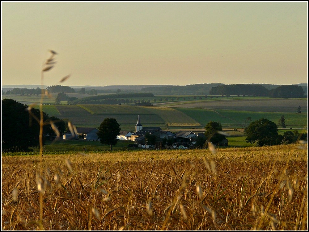 Das Dorf Crendal liegt friedlich im Abendlicht des 30.07.2010. (Jeanny)