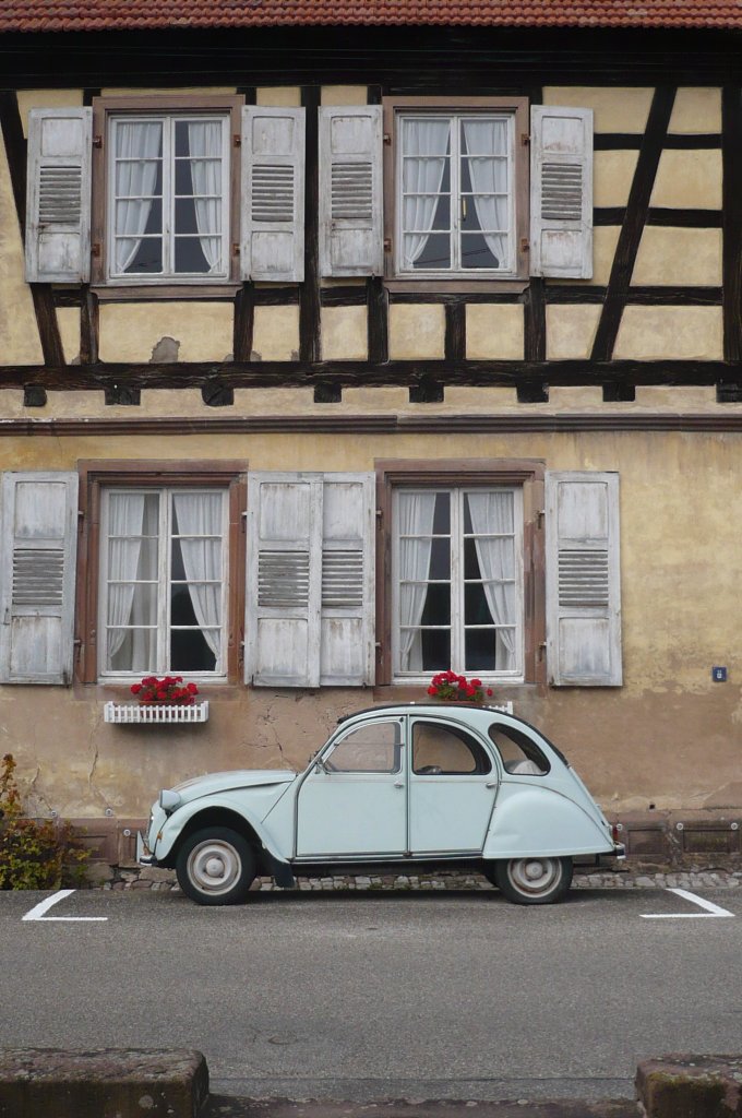 Das Festhalten einer knstlerischen Feinheit.
Wissembourg - Nordelsass, am 29.10.09