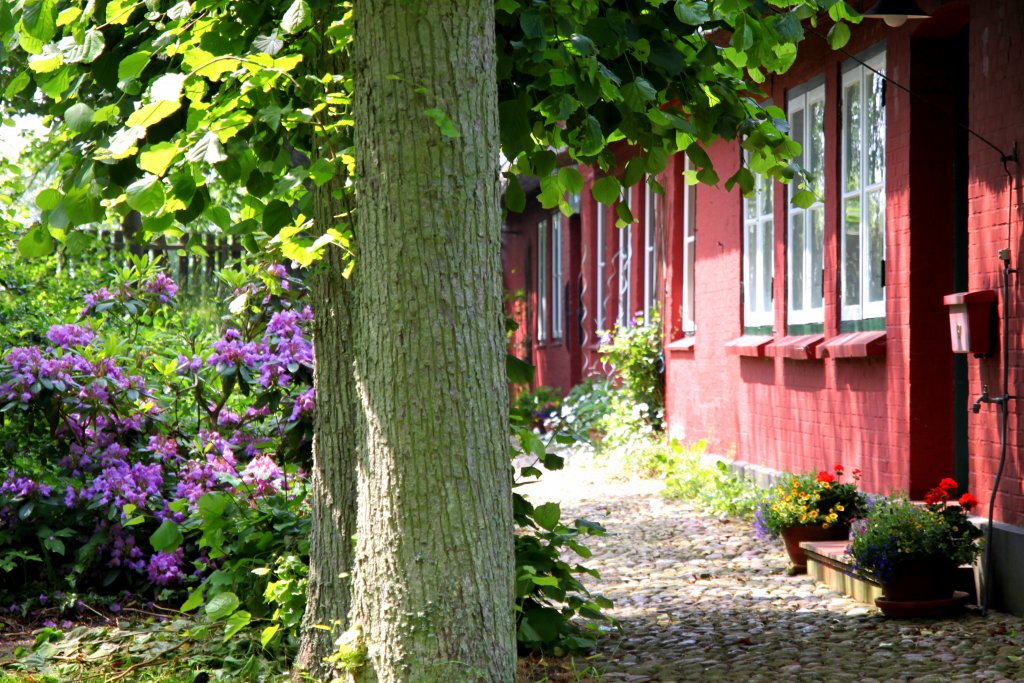 Das Pastorat von Nieblum auf Fhr, aufgenommen am 20. Juni 2013.