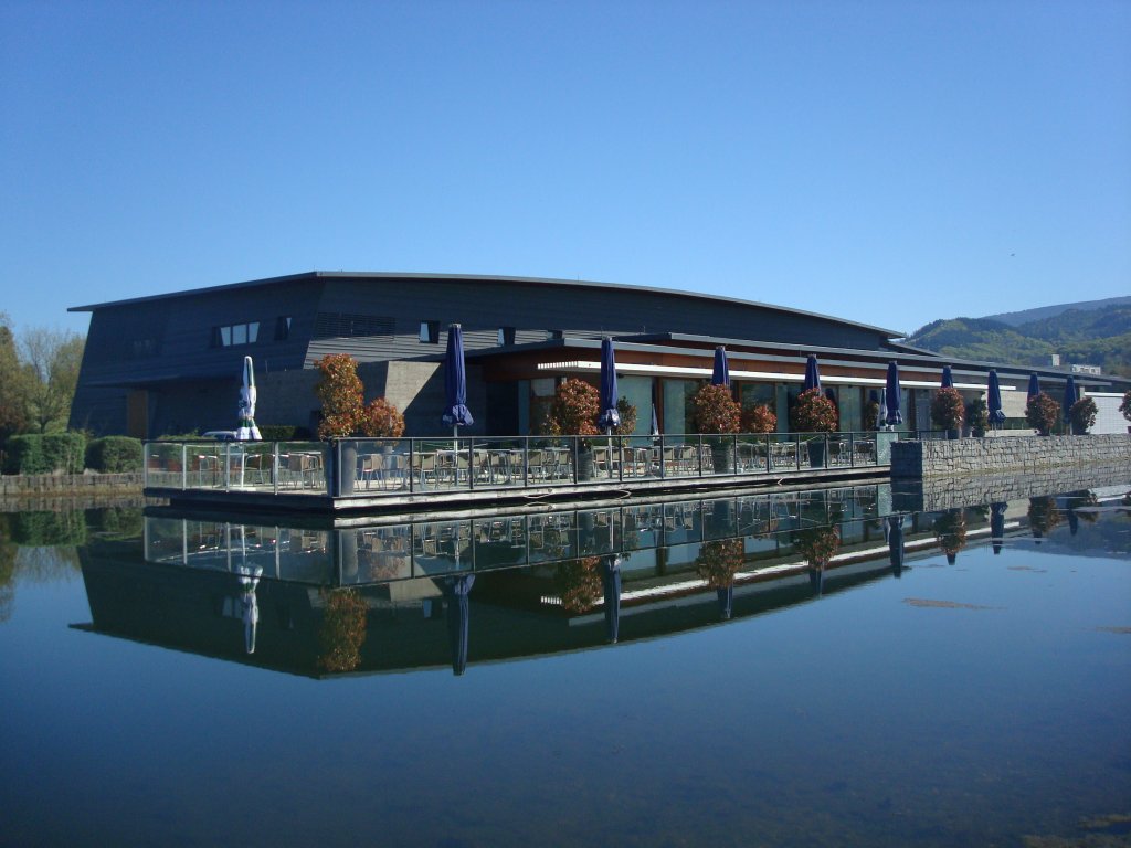 Denzlingen, das Kultur-und Brgerhaus, Sdseite mit knstlich angelegtem Teich, 2003 eingeweiht, April 2011