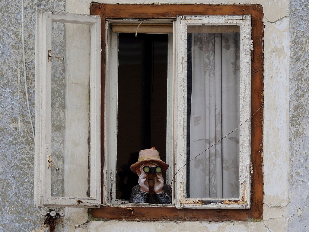  Der Fenstergucker  hat am Hochfeld in Ried i.I. alles im Blickfeld; 130224