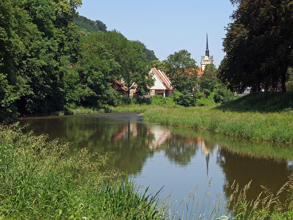 Der Geraer Stadtteil Unterhaums mit der Marienkirche mal aus etwas anderer Perspektive vom Ufer der Weien Elster aus gesehen, 09.06.2007