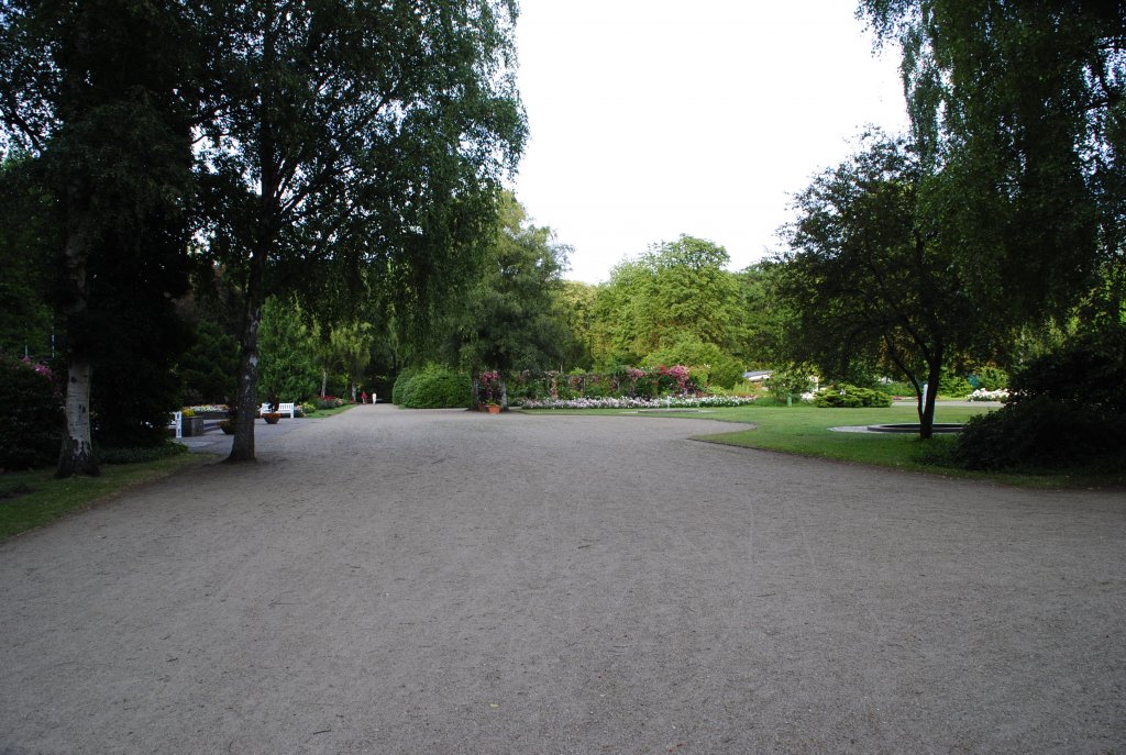 Der Rosengarten in Pinneberg/Hamburg am 18.07.2010