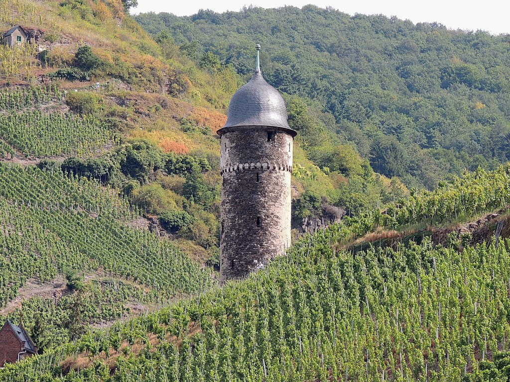 Der runde Turm bzw. Pulverturm thront ber der berhmten Weinstadt Zell(Mosel); 120823
