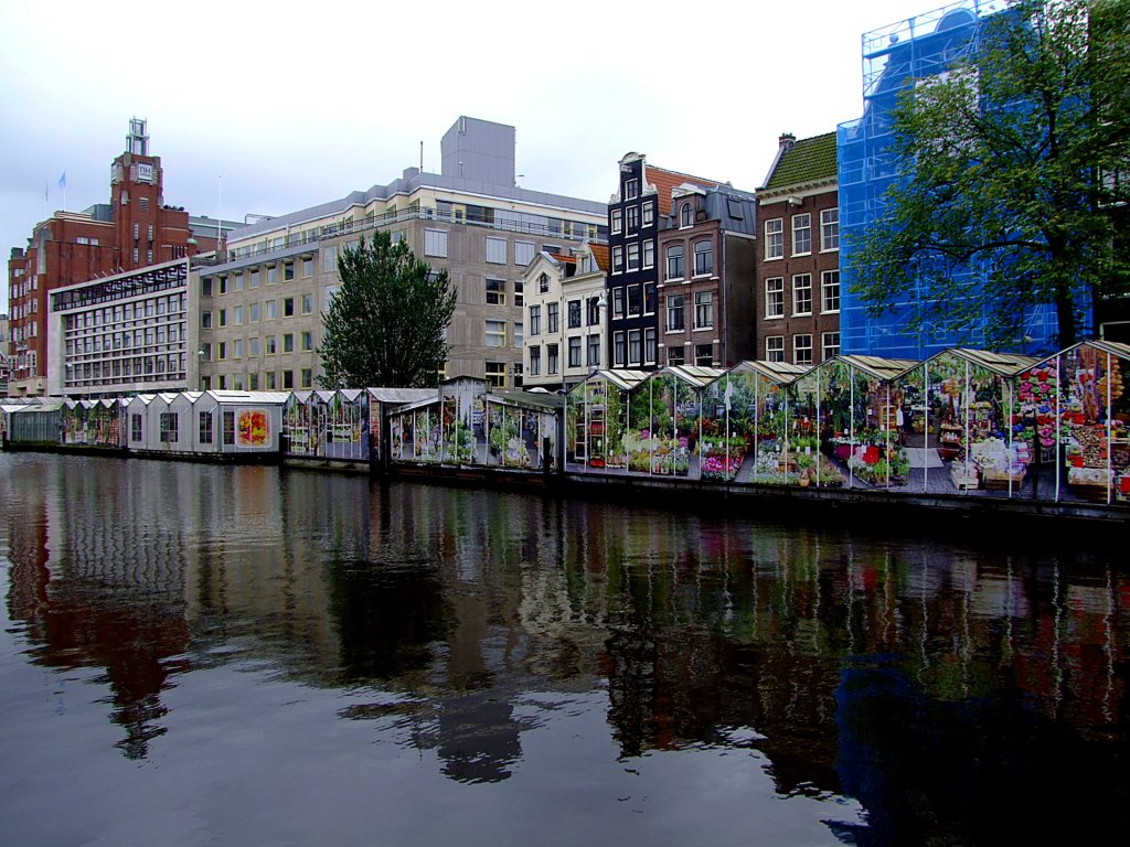 Der schwimmende Blumenmarkt spiegelt sich in der Single-Gracht zu AMSTERDAM; 110904