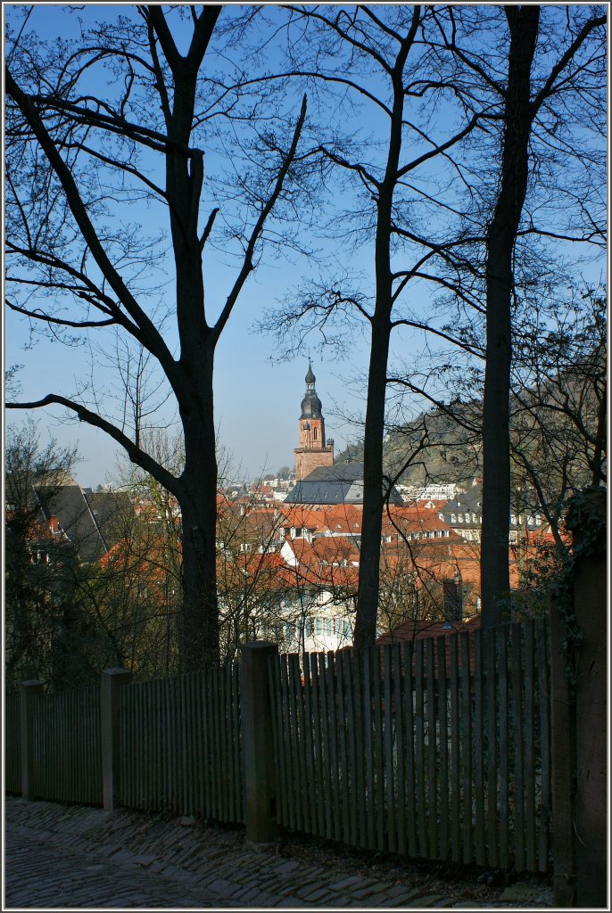 Der Weg zur Burg bietet einen Blick zwischen den Bumen auf die Altstadt von Heidelberg.(28.03.2012)