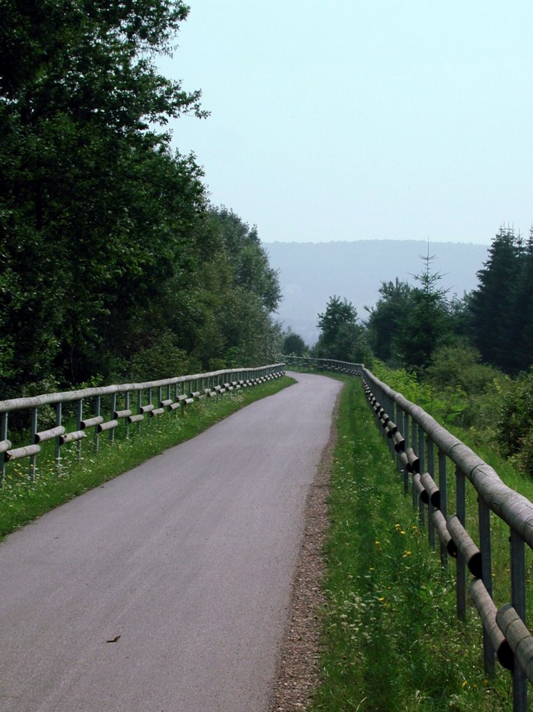 Deutschland, Rheinland-Pfalz, Eifel, der Maare-Mosel-Radweg (MMR) nrdlich von Wittlich. Der MMR (58 km lang) verbindet Daun in der Vulkaneifel ber die ehemaligen Bahnnebenstrecken Daun-Wengerohr und Wengerohr–Bernkastel-Kues mit dem Moseltal. 31.08.2002
