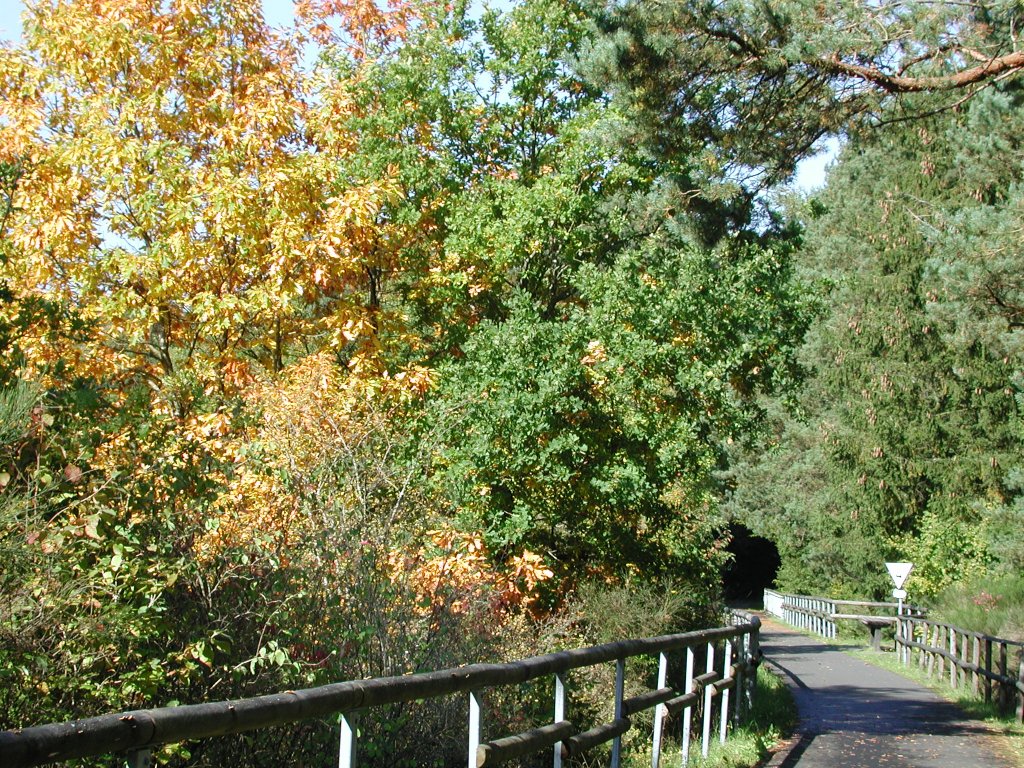 Deutschland, Rheinland-Pfalz, Eifel, der Maare-Mosel-Radweg (MMR) zwischen Hasborn und Gillenfeld. Der MMR (58 km lang) verbindet Daun in der Vulkaneifel ber die ehemaligen Bahnnebenstrecken Daun-Wengerohr und Wengerohr–Bernkastel-Kues mit dem Moseltal. 31.08.2002