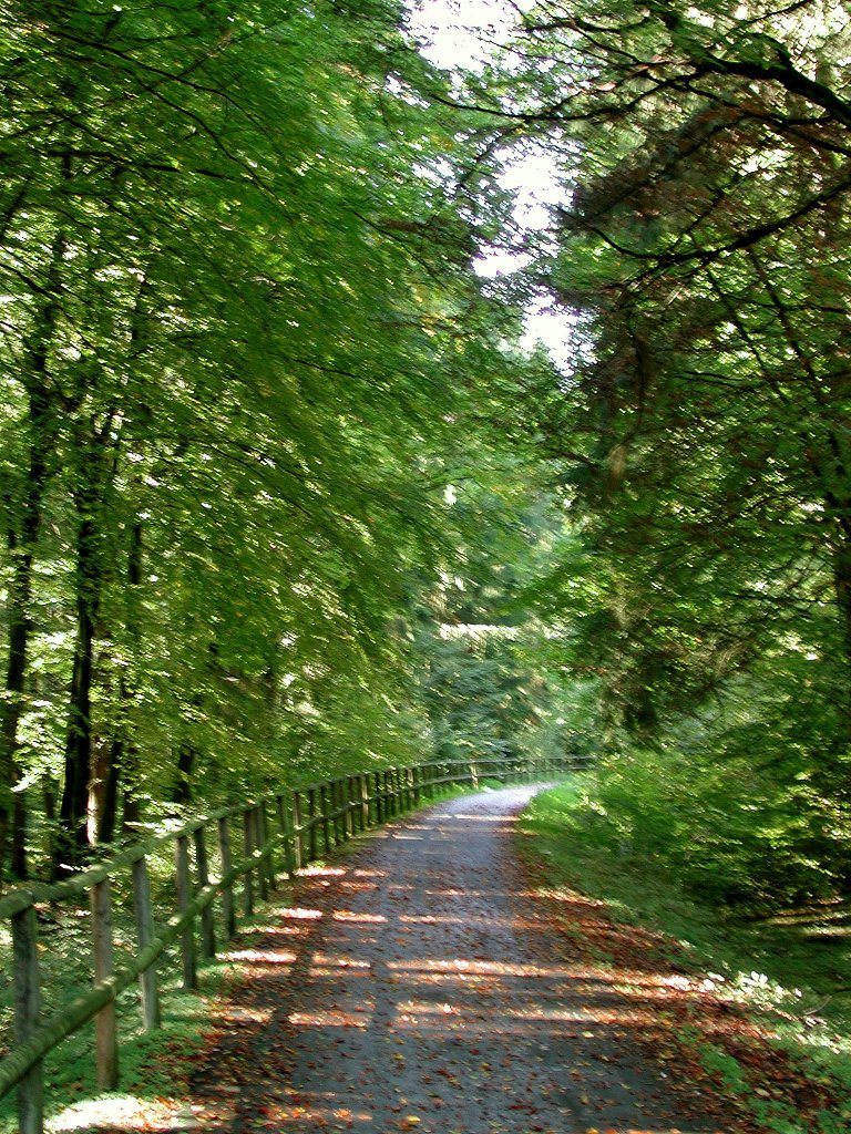 Deutschland, Rheinland-Pfalz, Eifel, der Maare-Mosel-Radweg (MMR) zwischen Hasborn und Gillenfeld. Der MMR (58 km lang) verbindet Daun in der Vulkaneifel ber die ehemaligen Bahnnebenstrecken Daun-Wengerohr und Wengerohr–Bernkastel-Kues mit dem Moseltal. 31.08.2002