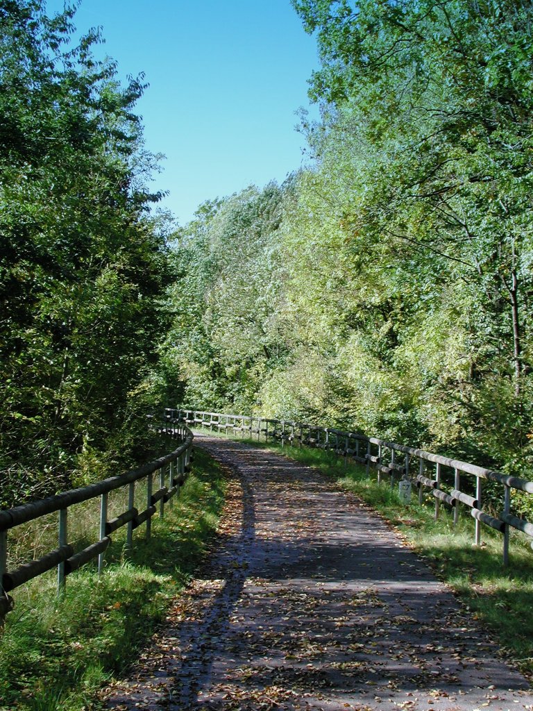 Deutschland, Rheinland-Pfalz, Eifel, der Maare-Mosel-Radweg (MMR) zwischen Hasborn und Gillenfeld. Der MMR (58 km lang) verbindet Daun in der Vulkaneifel ber die ehemaligen Bahnnebenstrecken Daun-Wengerohr und Wengerohr–Bernkastel-Kues mit dem Moseltal. 31.08.2002