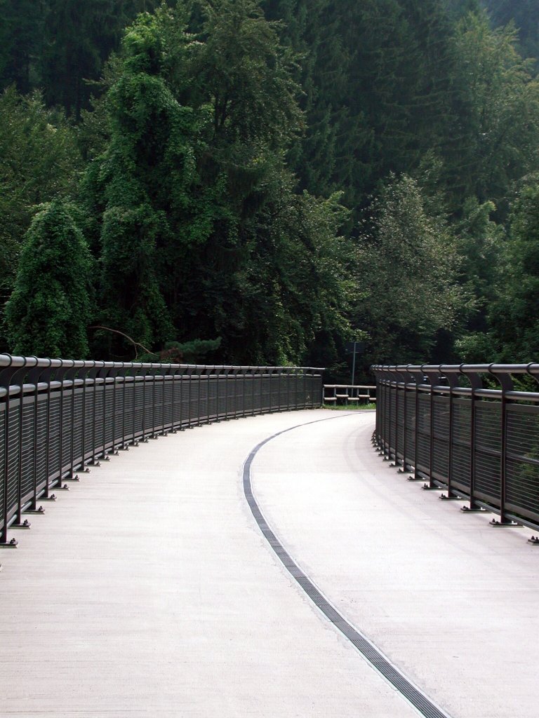 Deutschland, Rheinland-Pfalz, Eifel, Pleiner Viadukt, Lnge 98 Meter, Hhe ber Tal 31 Meter auf dem Maare-Mosel-Radweg. Der MMR (58 km lang) verbindet Daun in der Vulkaneifel ber die ehemaligen Bahnnebenstrecken Daun-Wengerohr und Wengerohr–Bernkastel-Kues mit dem Moseltal. 31.08.2002