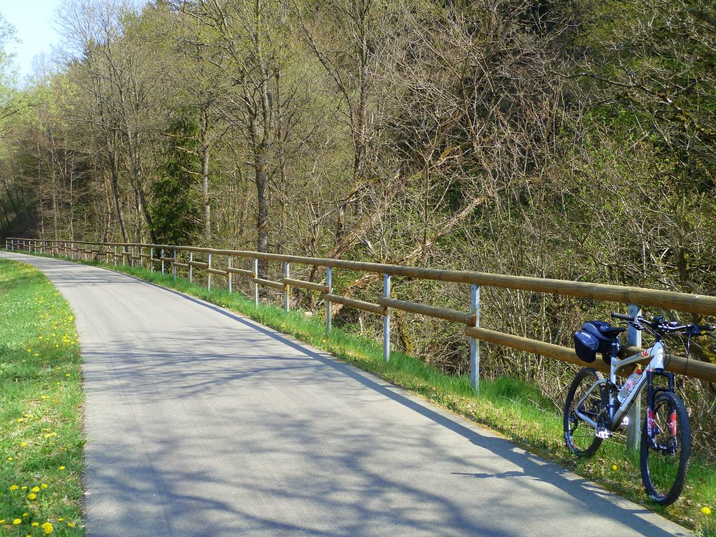 Deutschland, Rheinland-Pfalz, Eifelkreis Bitburg-Prm, Eifel-Ardennen Radweg zwischen Bleialf und Ihren. 23.04.2011