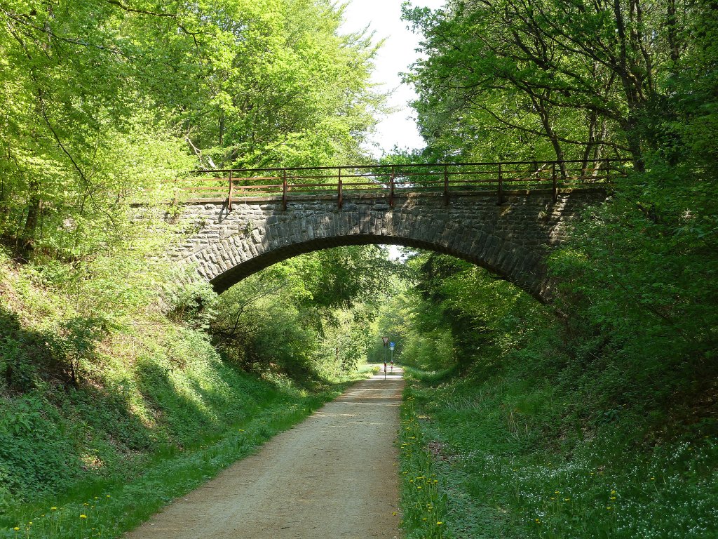 Deutschland, Rheinland-Pfalz, Eifelkreis Bitburg-Prm, Enztal Radweg bei Dreis. 01.05.2011
