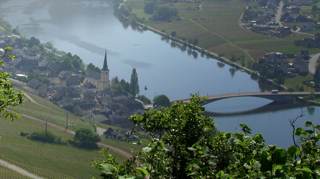 Deutschland, Rheinland-Pfalz, Landkreis Bernkastel-Wittlich, Piesport am linken Moselufer, 22.05.2010