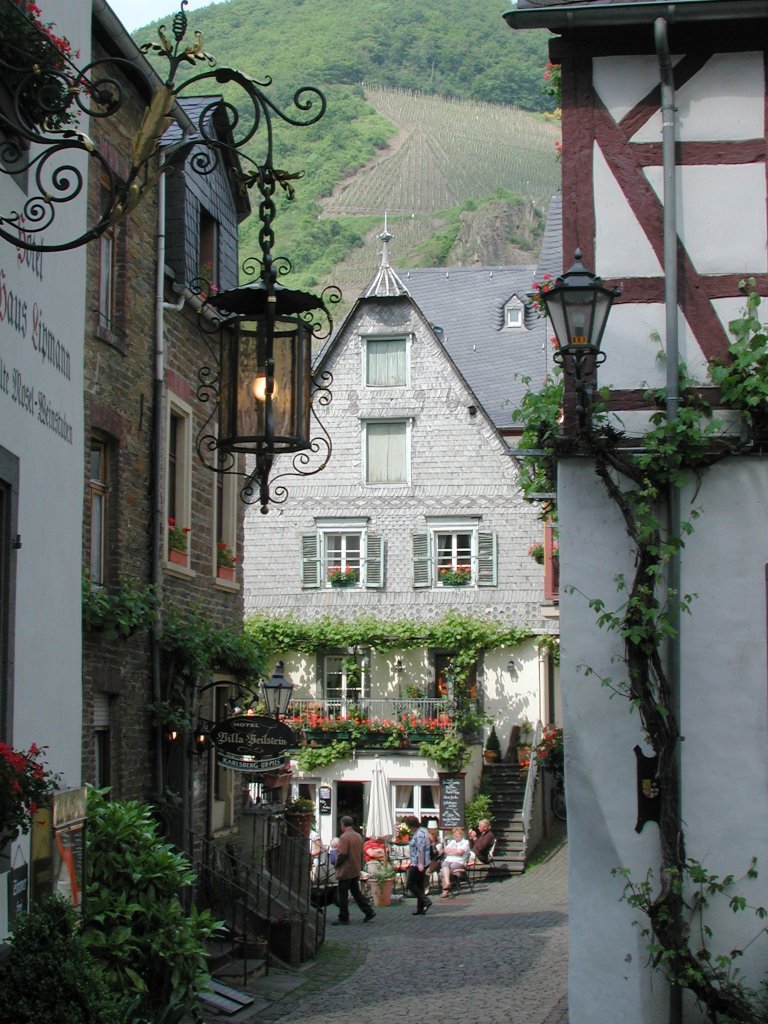 Deutschland, Rheinland-Pfalz, Landkreis Cochem-Zell; Beilstein. 27.05.2010