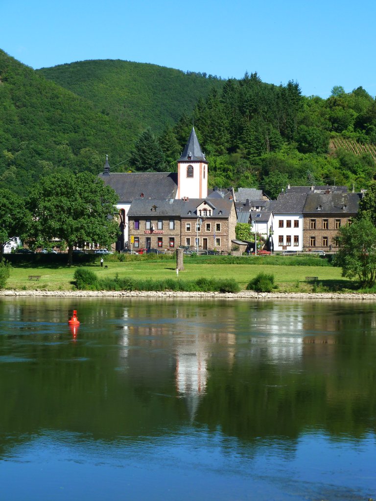 Deutschland, Rheinland-Pfalz, Landkreis Mayen-Koblenz, Burgen an der Untermosel, 17.06.2012