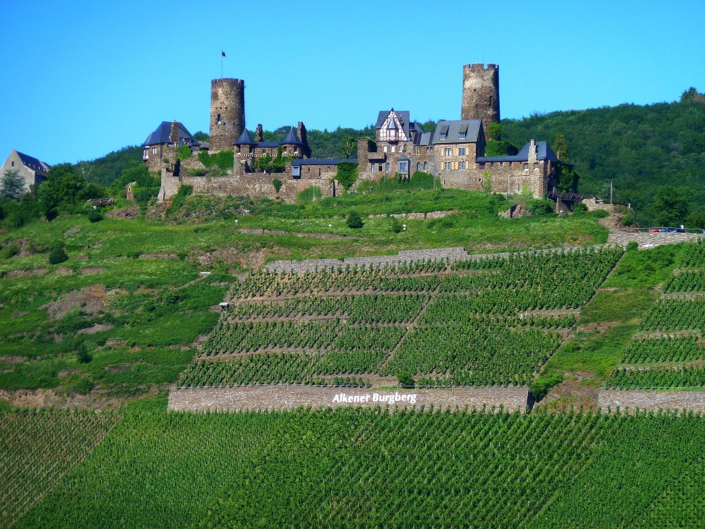 Deutschland, Rheinland-Pfalz, Landkreis Mayen-Koblenz, Schloss Thurant ber Alken an der Untermosel, 17.06.2012