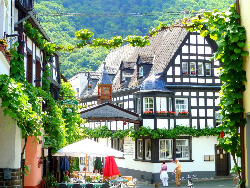 Deutschland, Rheinland-Pfalz, Landkreis Mayen-Koblenz, Winningen, 17.06.2012