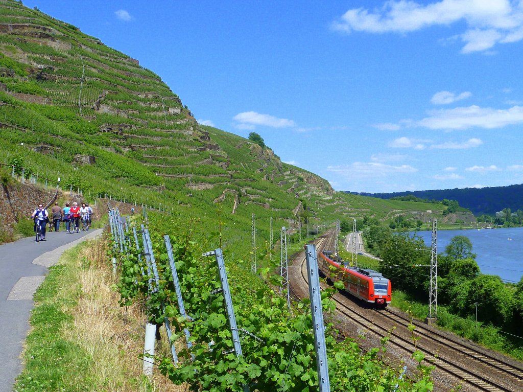 Deutschland, Rheinland-Pfalz, nord-stlich von Winningen, Mosel Radweg zwischen den Weinbergen einerseits und der KBS 690 Trier-Koblenz (mit einem stark verdecktem ET 422 Trier-Koblenz), sowie der Mosel andererseits. 17.06.2012