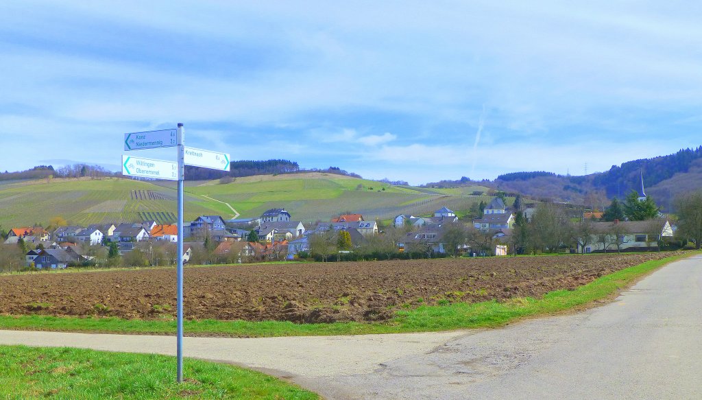 Deutschland, Rheinland-Pfalz, Radweg Wiltingen - Oberemmel - Konz, bei Krettnach, 14.04.2013