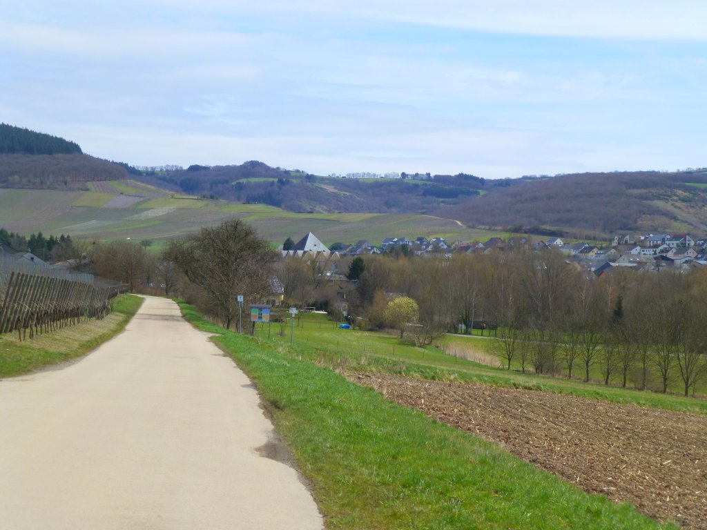 Deutschland, Rheinland-Pfalz, Radweg Wiltingen - Oberemmel - Konz, bei Oberemmel, 14.04.2013