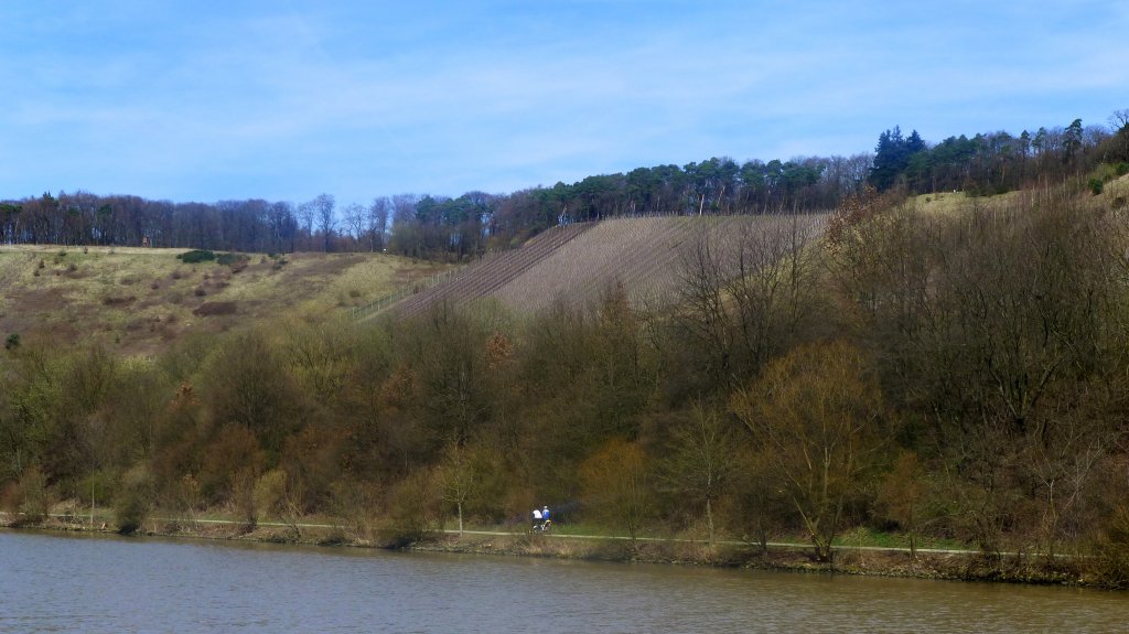 Deutschland, Rheinland-Pfalz, Saarradweg am rechten Saarufer (Saardurchstich) zwischen Schoden und der Schleuse Kanzem am Ende des Durchstichs, 14.04.2013