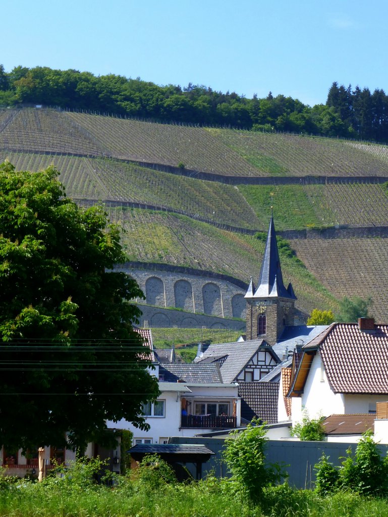 Deutschland, Rheinlandpfalz, Landkreis Ahrweiler, Dernau im Ahrtal, 27.05.2013