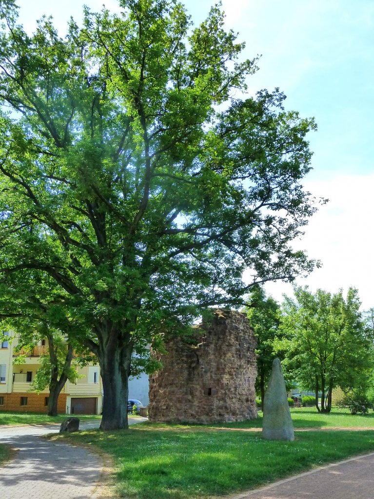 Deutschland, Saarland, Regionalverband Saarbrcken, Pttlingen, Hexenturm im Stadtpark, 08.05.2011