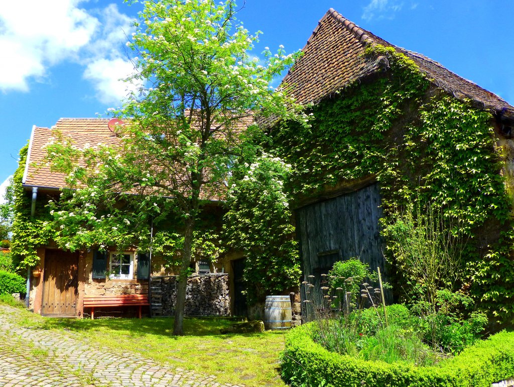 Deutschland, Saarland, Saarpfalz-Kreis, Eind (Stadtteil von Homburg), altes Bauernhaus, 18.05.2013