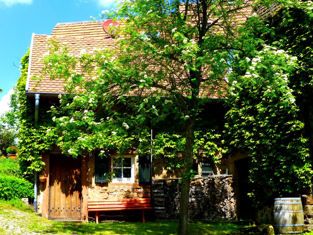 Deutschland, Saarland, Saarpfalz-Kreis, Eind (Stadtteil von Homburg), altes Bauernhaus, 18.05.2013