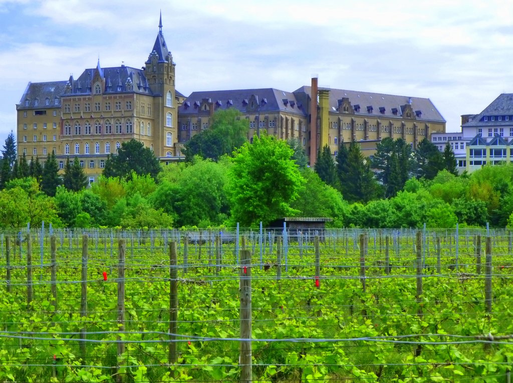 Deutschland,Rheinlandpfalz, Landkreis Ahrweiler, Ahrweiler, Kloster und Internat Kalvarienberg, 27.05.2013