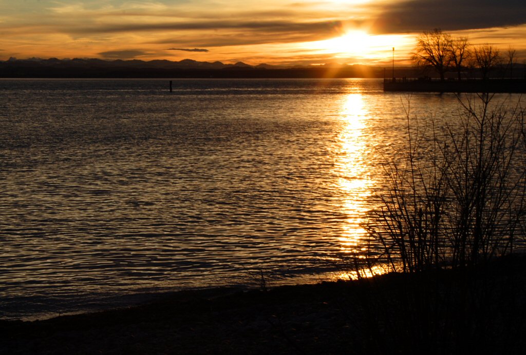 Die Auslufer des Schlossparks im Sonnenuntergang, Friedrichshafen, 03.01.12