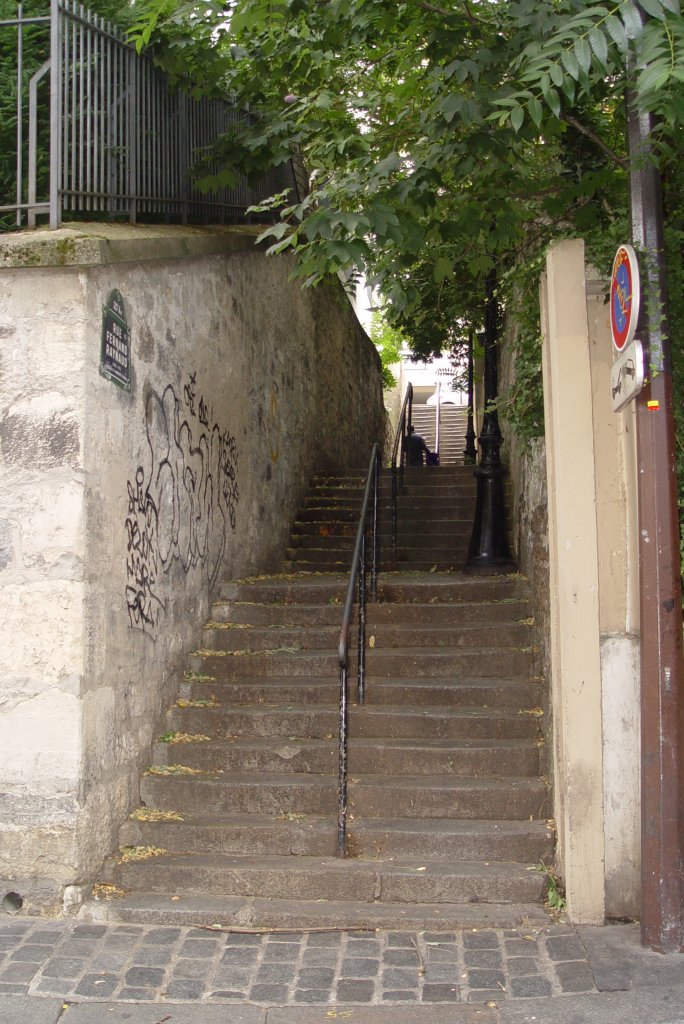 Die engen Passagen beginnen oder enden hufig mit einer Treppe, die von den schmalen Straen des Viertels abgehen. Hier die  Treppenstrae  Rue Fernand Raynaud, einem 1973 verstorbenen franzsischen Humoristen und Schauspieler. (17.07.2009) 