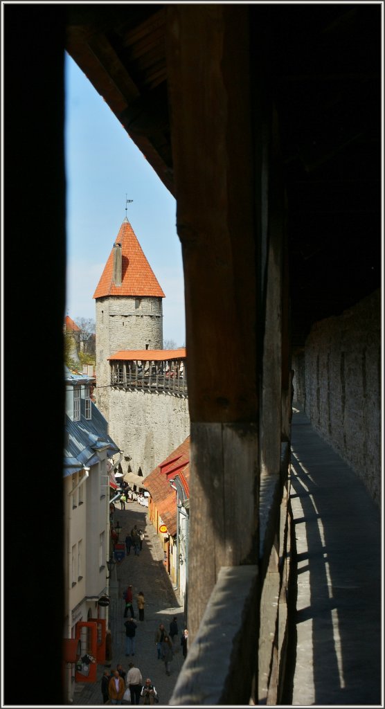 Die Jahrhunderte(16.Jahrhundert) alte Stadtmauer von Tallin.
(07.05.2012)