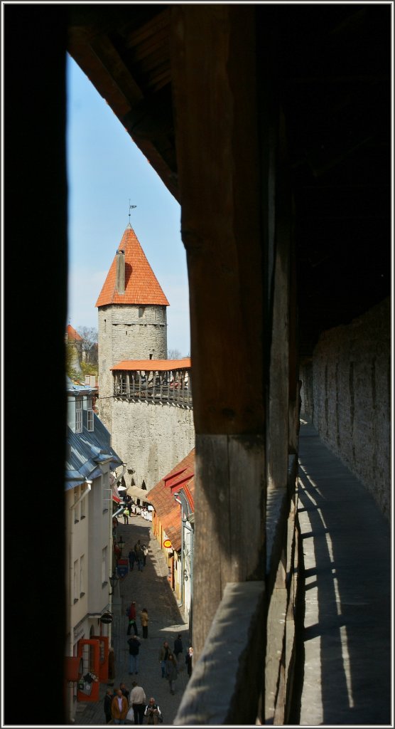 Die Jahrhunderte(16.Jahrhundert) alte Stadtmauer von Tallin.
(07.05.2012)