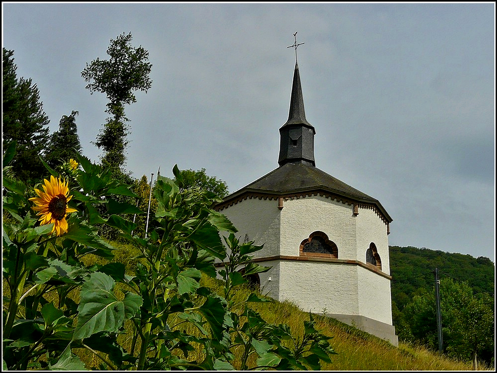 Die Kapelle in Heiderscheid-Grund aus dem Jahre 1853 ist ein achteckiger Bau im neo-gotischen Stil. Whrend der Ardennenoffensive (1944/45) wurde sie stark beschdigt. 1949 nur notdrftig repariert, wurden erst 1962 bis 1964 grere Reparaturarbeiten durchgefhrt. 1991 wurde die Kapelle als nationales Monument klassiert und danach komplett von innen und auen restauriert. Sie ist der Heiligen Kunigunde gewidmet und erstrahlt heute wieder in neuem Glanz. 25.07.2010 (Jeanny)  