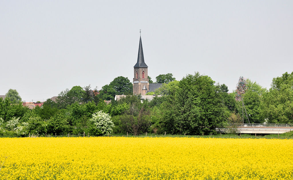 Die Kirche in Euskirchen-Euenheim, eingerahmt von Raps und  frischem Grn  - 20.05.2010 